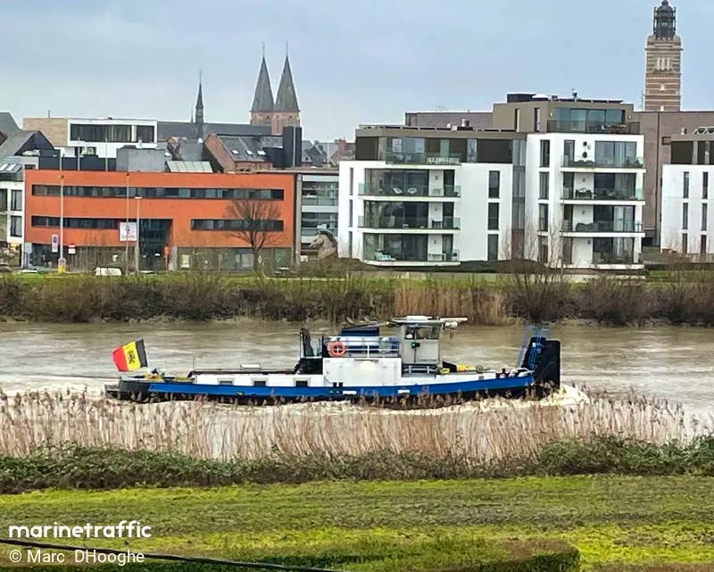 Leontine S — thumbnail 2